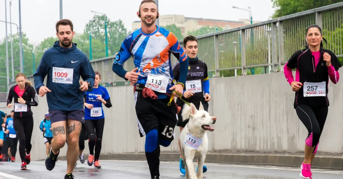 A group of people with a a dog running in marathon race for indicating the importance of running.