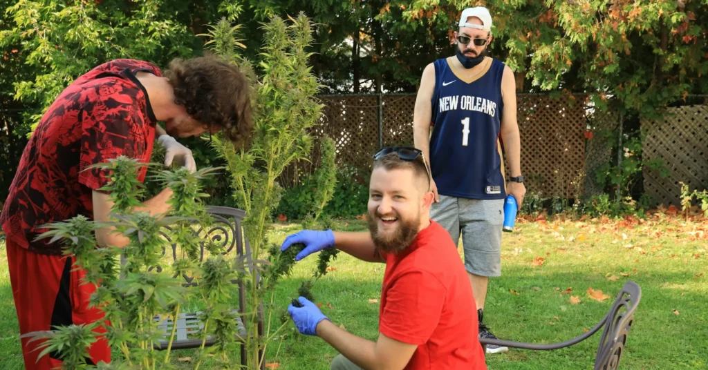 Gardening is a healthy hobby it brings joy to life as a person cutting the branches of plant with a brilliant smile face.