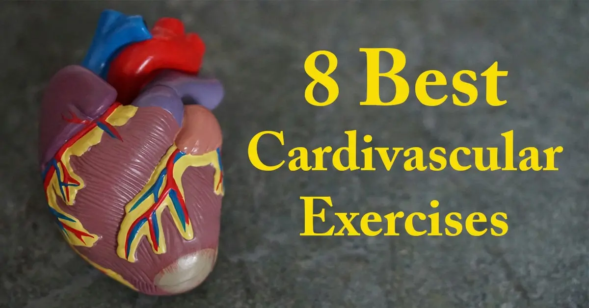 The 8 best cardiovascular exercises with heart's photo