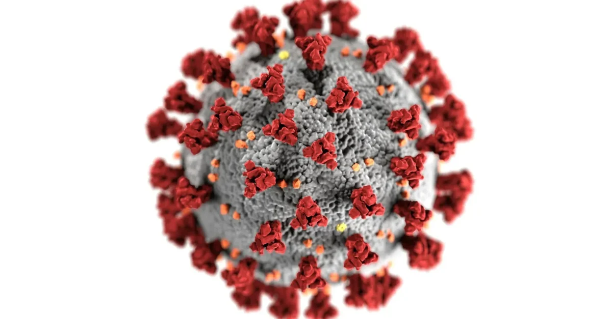The Oropouche Virus