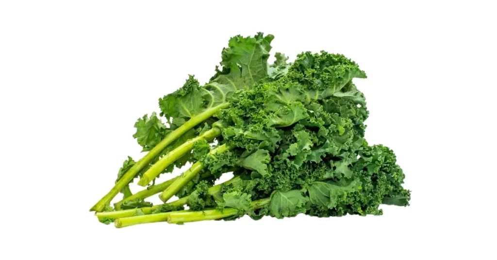Healthy kale