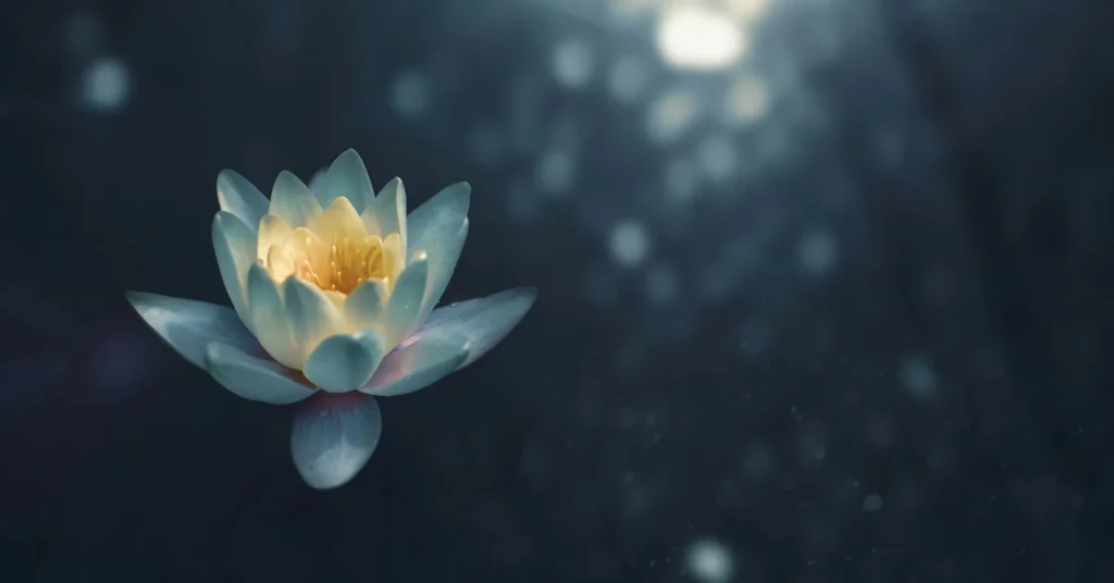 A white flower showing peace, love and meditation.
