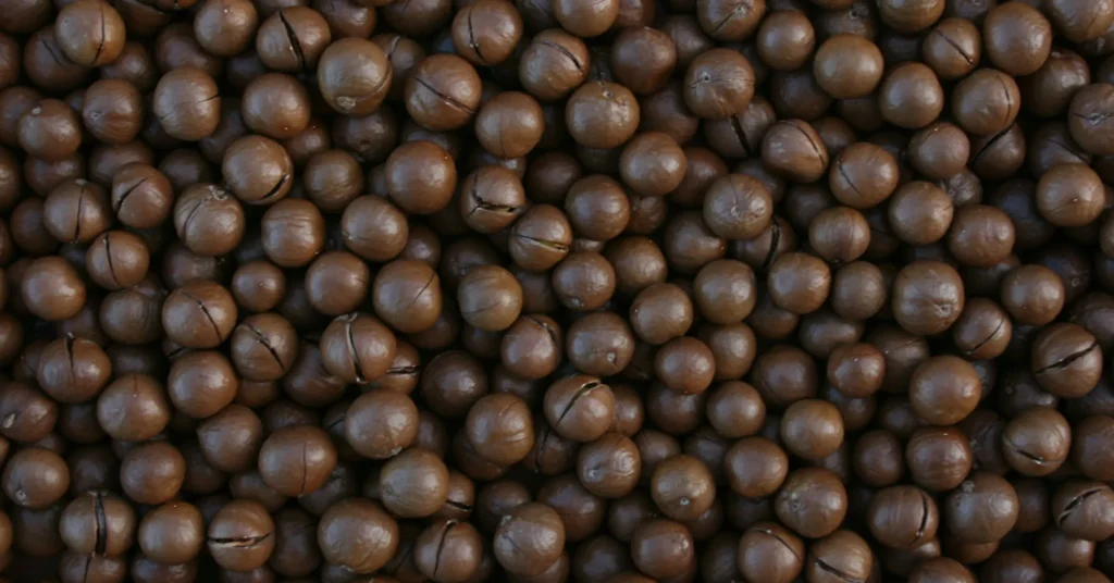 Benefits of Macadamia Nuts