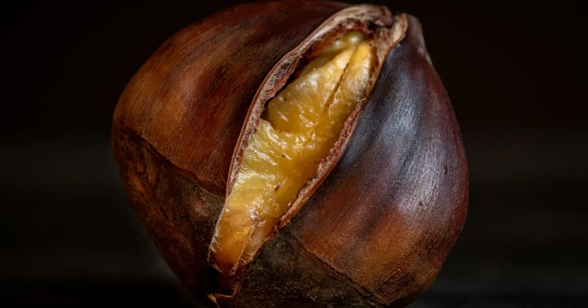 water chestnuts are healthy edible nuts. Many benefits of chestnuts are explained here.