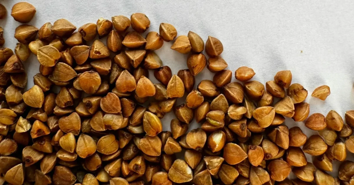 Benefits of Buckwheat.