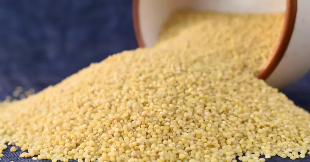 Grains of foxtail Millet