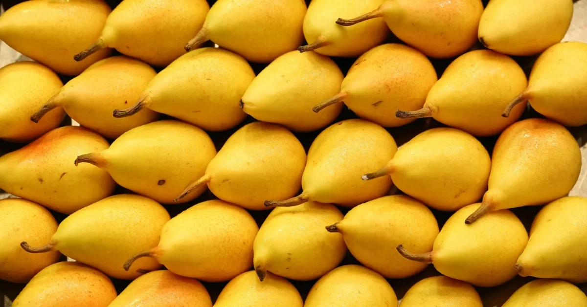 A picture full of yellow pears