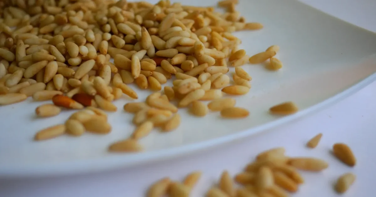 Numerous Pine nuts are placed in the plate without shell.