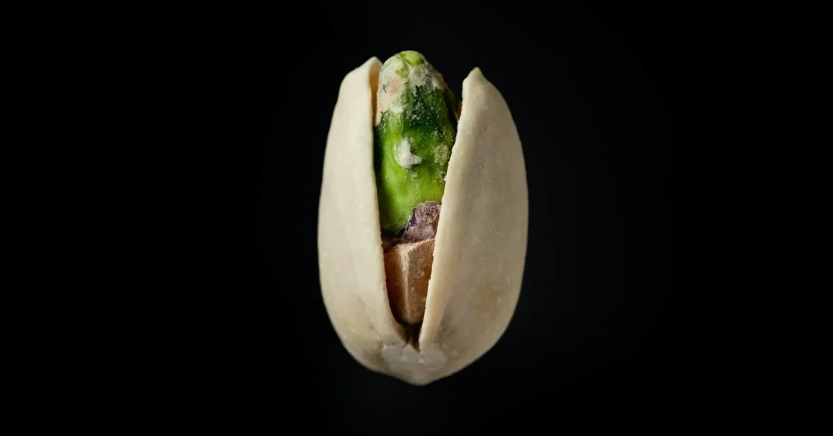 A Pistachio nut with black background. A healthy nut.