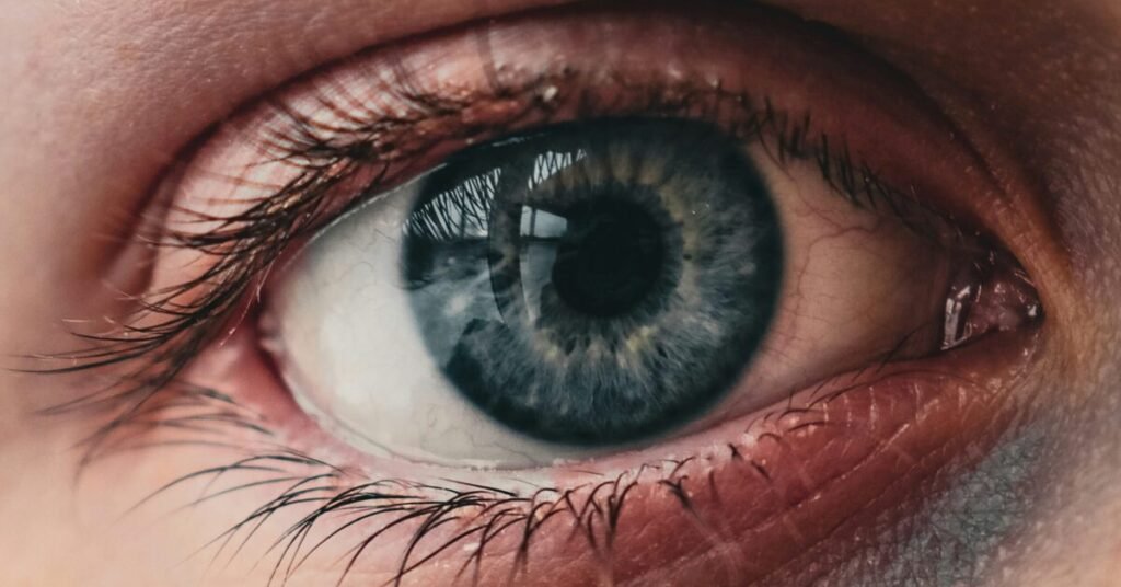 Picture of eye of someone showing why eye health matters.