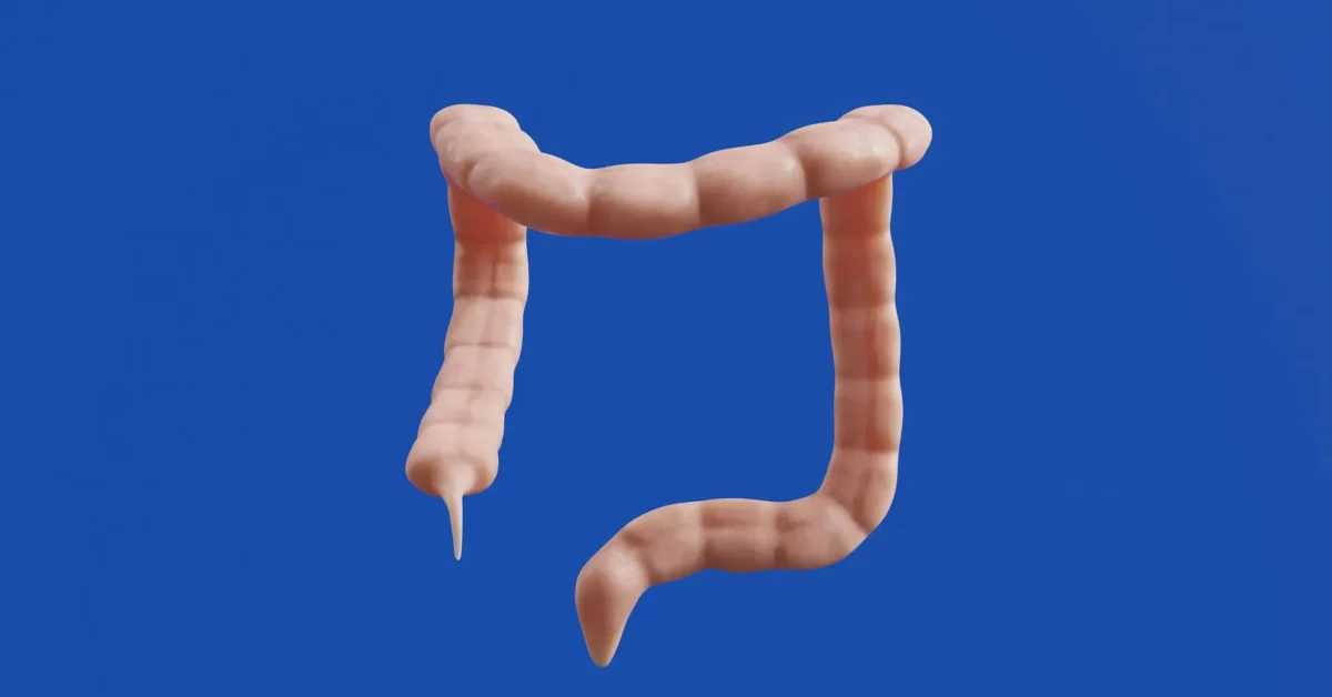 Removing the worms from belly can reduce the fat.